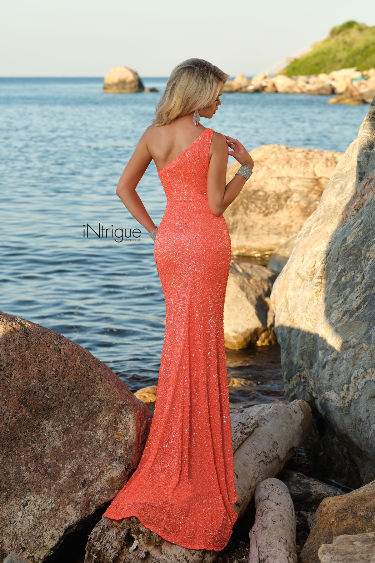 Blush Prom Prom Dresses And Evening Gowns By Alexia Designs